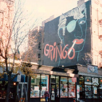 Gringo by alysia abbott